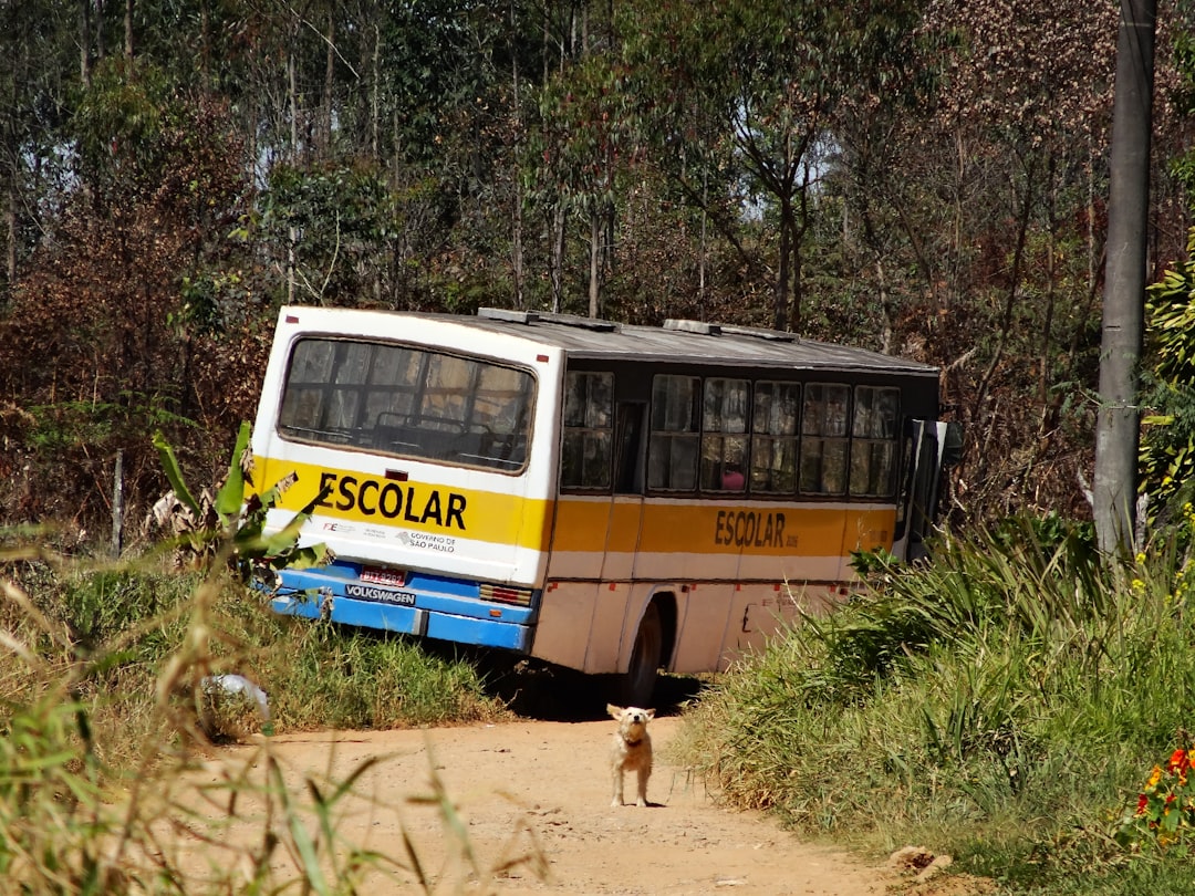 bagagem em viagem rodoviária direitos do passageiro