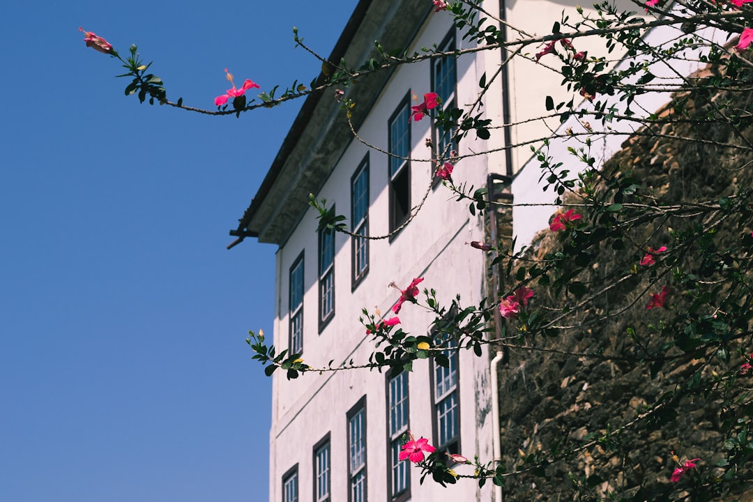 destinos turísticos Minas Gerais