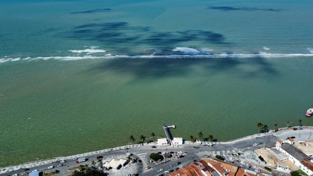 Surpreendentes Curiosidades de Porto Seguro: 5 Dicas Essenciais - 999 Viagens