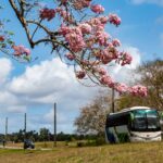 passagens rodoviárias para roraima com vista da paisagem