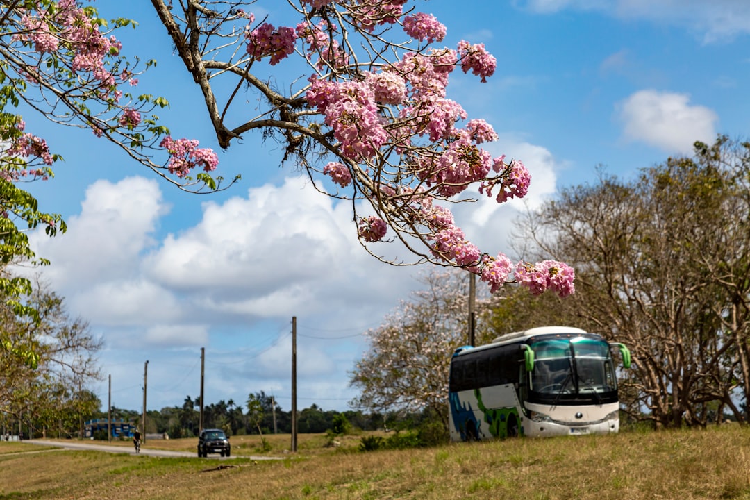 passagens rodoviárias para roraima com vista da paisagem