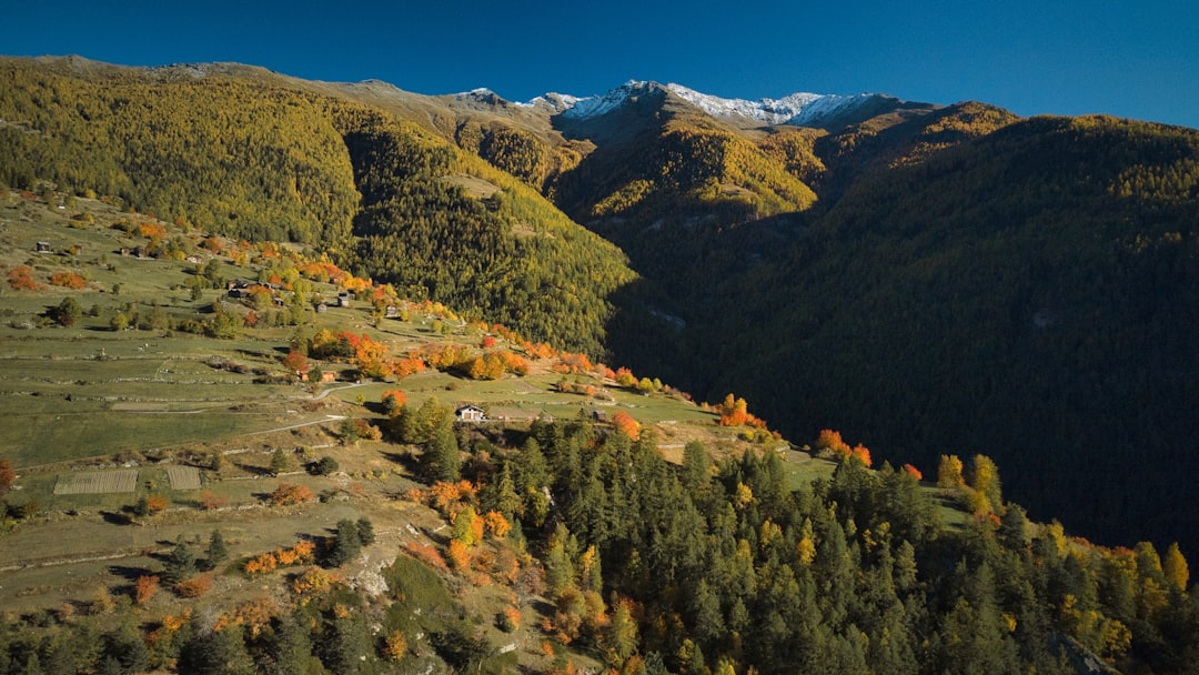 Paisagem da Serra Gaúcha no outono com preços acessíveis